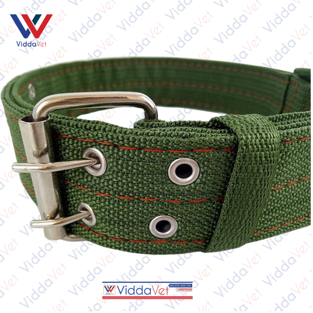 Army Green Dog Collar S/M/L (1pc)