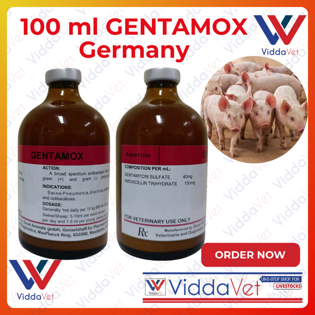 Gentamox Germany 100 mL