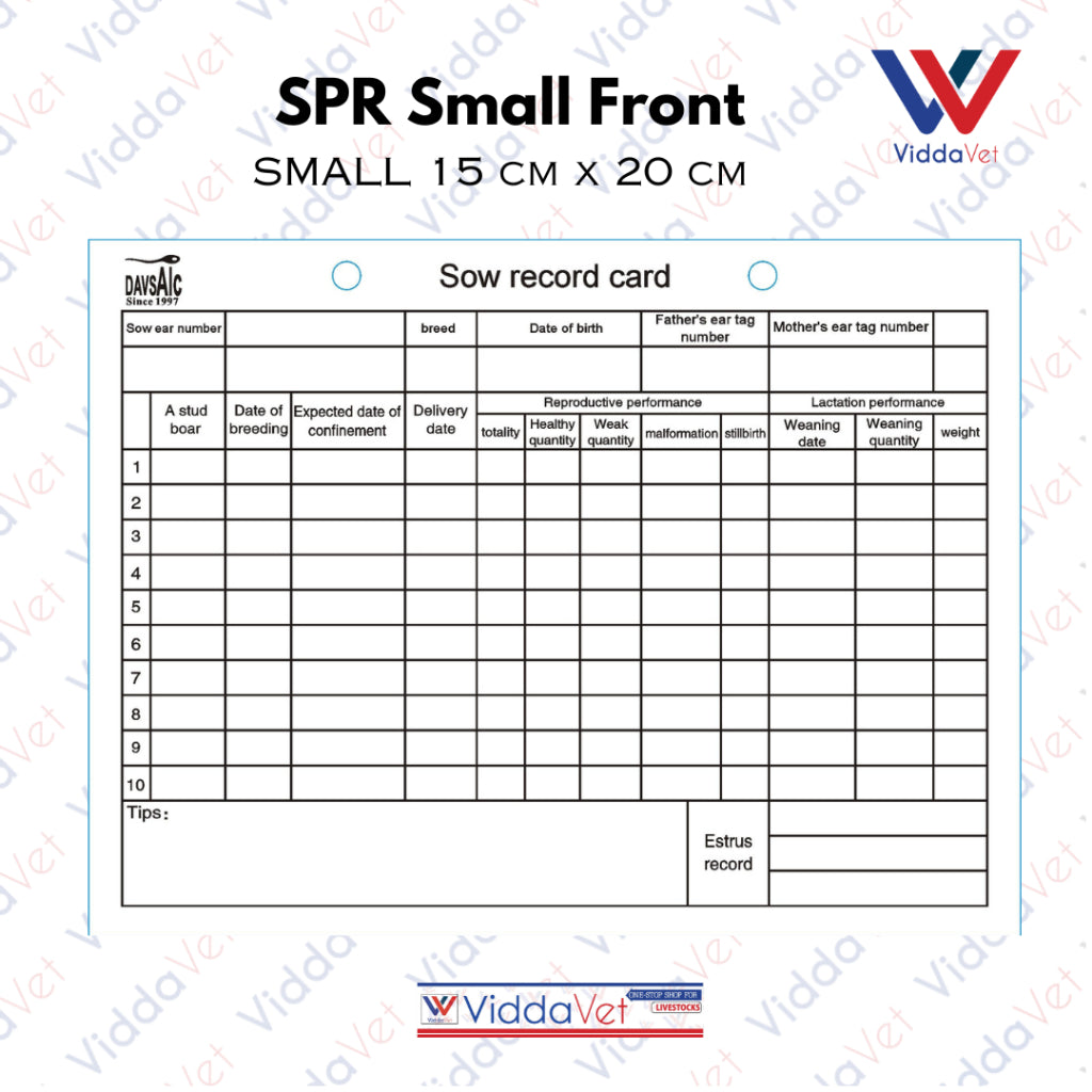 Sow Performance Card PVC