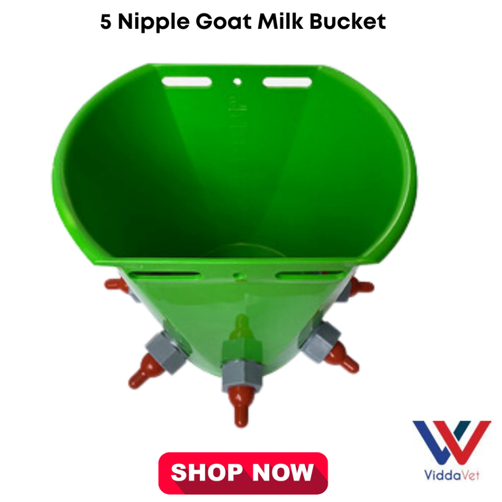 5 Nipples Goat/Sheep Milk Bucket 8L
