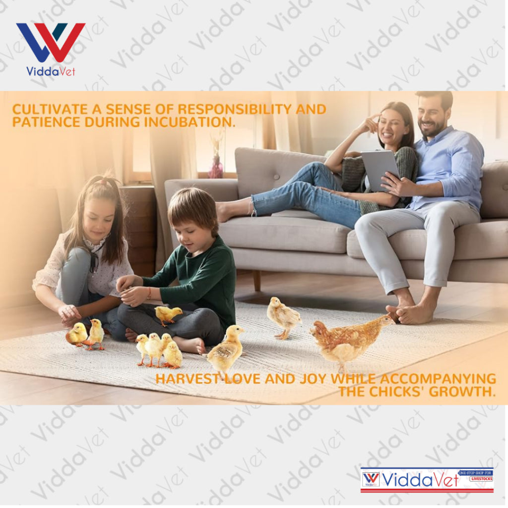 Manual Egg Incubator 7 Eggs Capacity