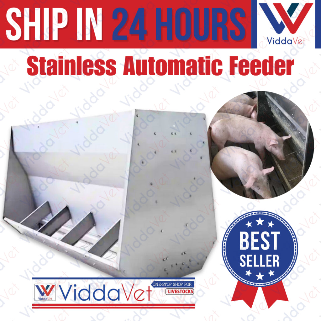 Stainless Automatic Nursery Pig Feeder 5 slot/10 slot