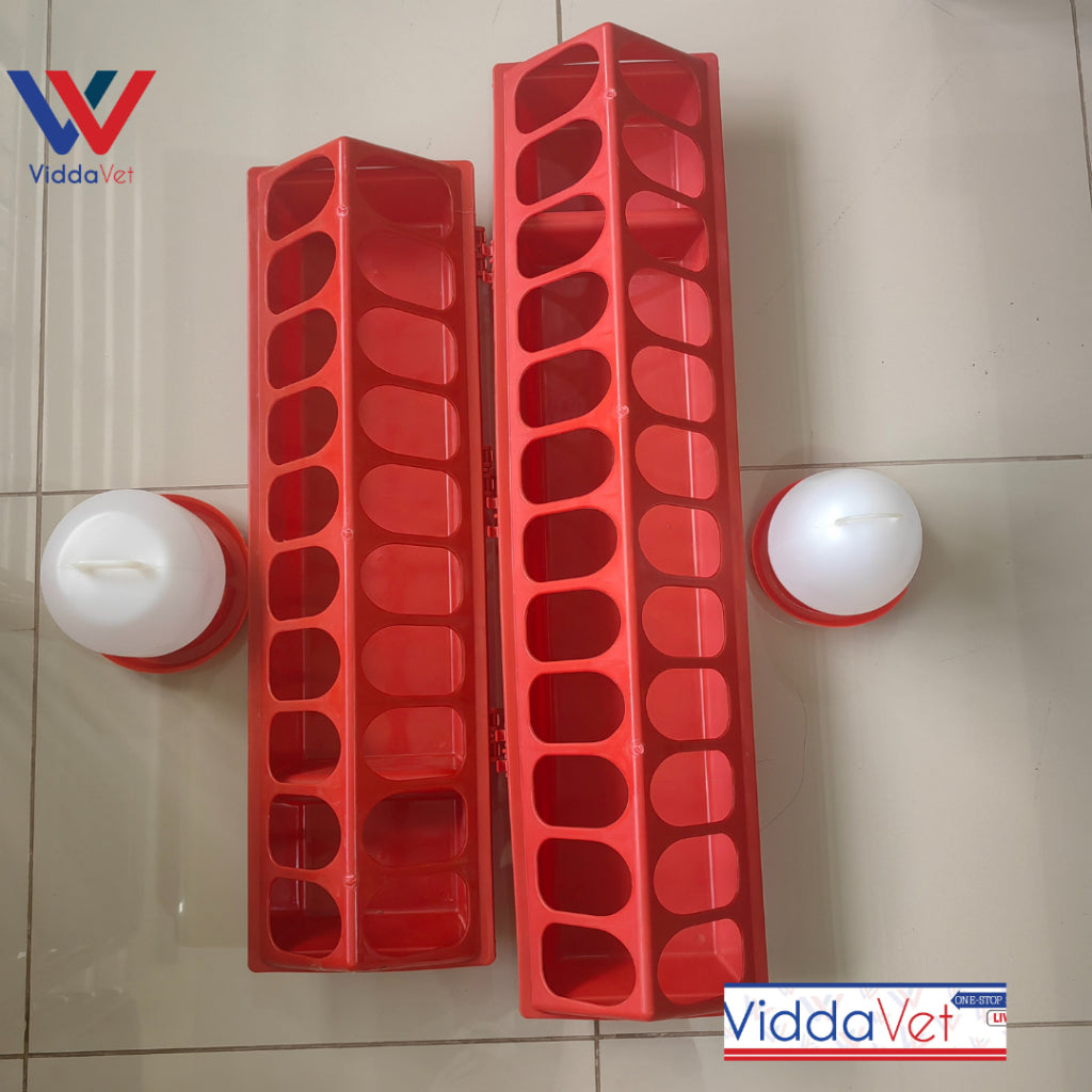 Big Chicken Feeding Trough