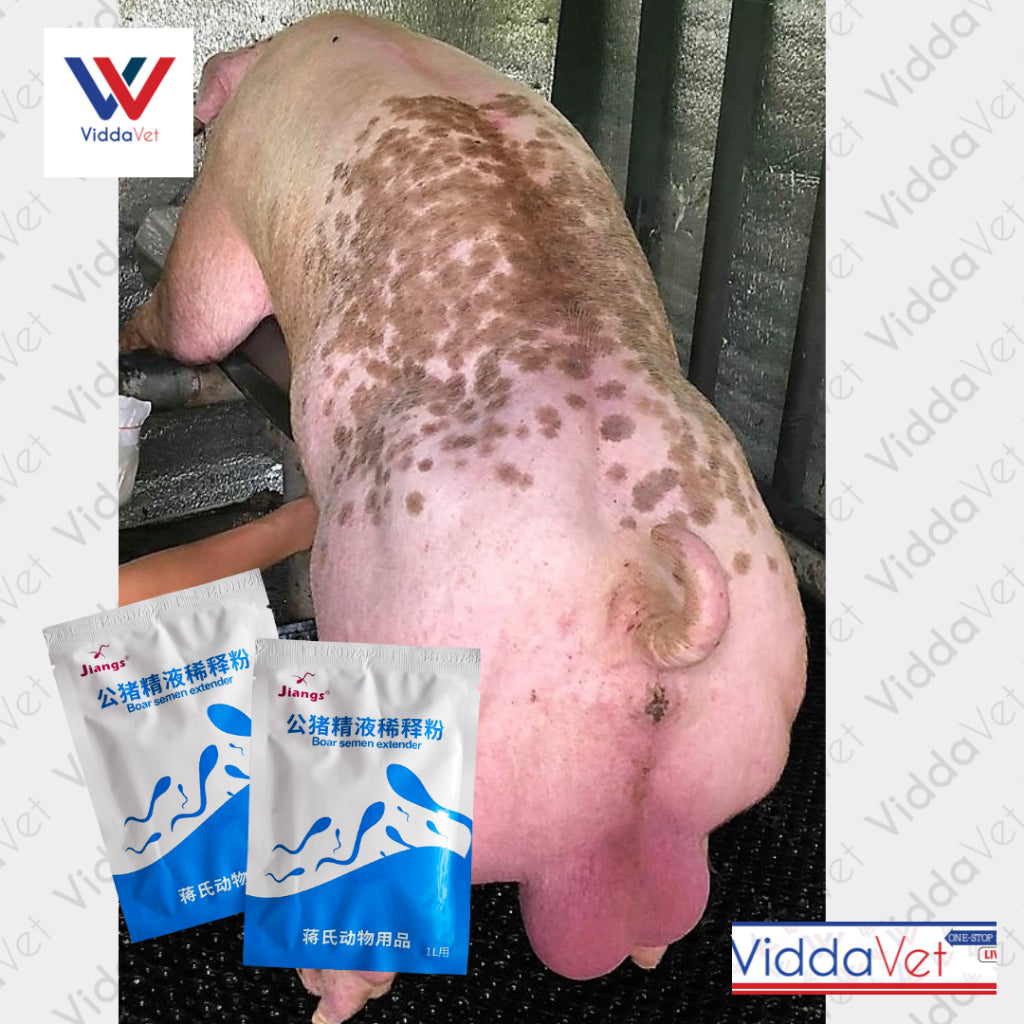 Boar Semen Extender For Pig Long term 7-9 days