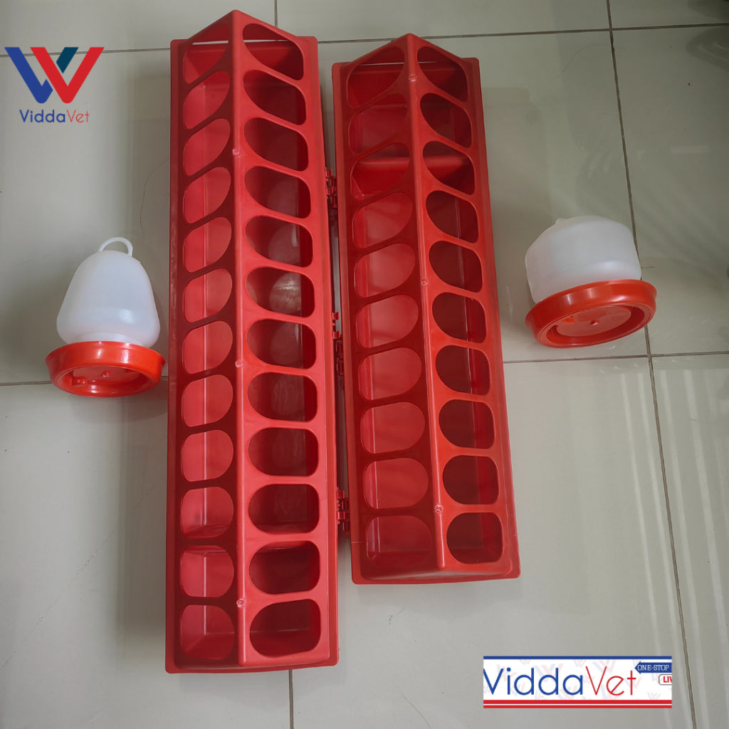 Big Chicken Feeding Trough