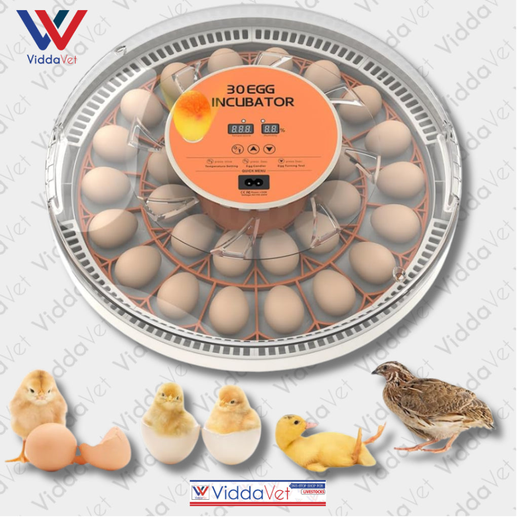 Automatic Egg Incubator 30 Eggs Capacity