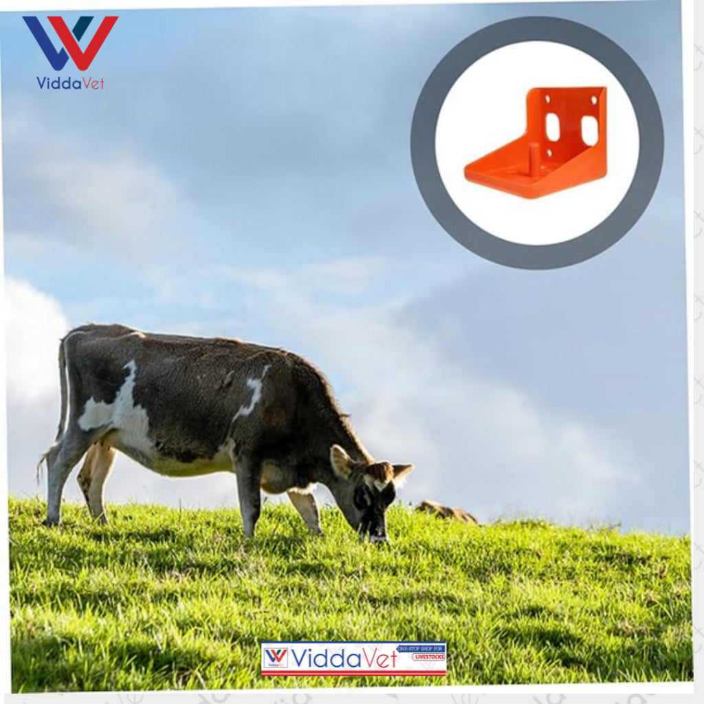 Mineral Block Holder