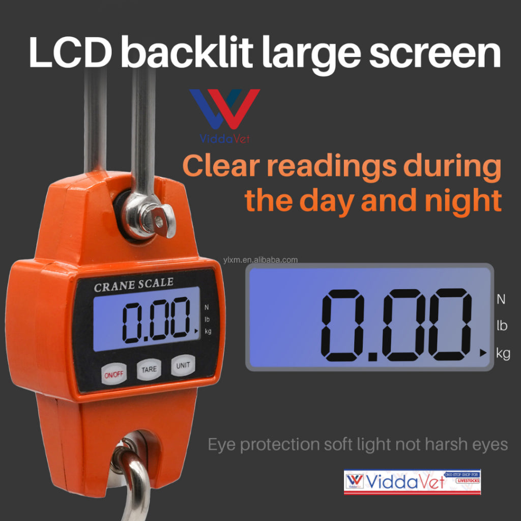 Crane Digital Scale 300kg