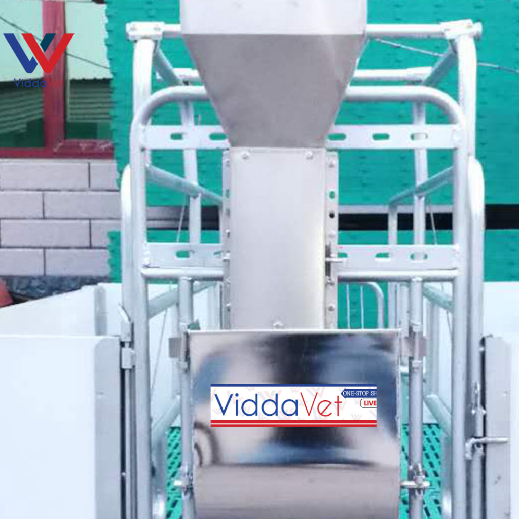 Semi Automatic Pig Feeder