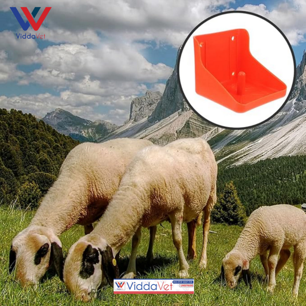 Mineral Block Holder