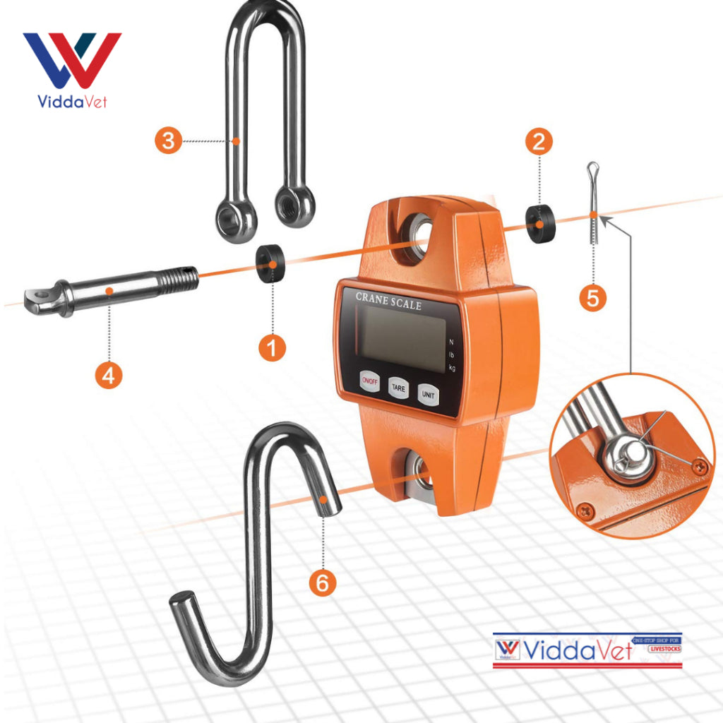 Crane Digital Scale 300kg