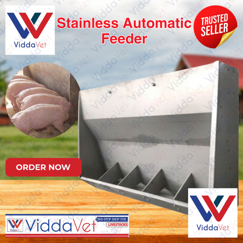 Stainless Automatic Nursery Pig Feeder 5 slot/10 slot