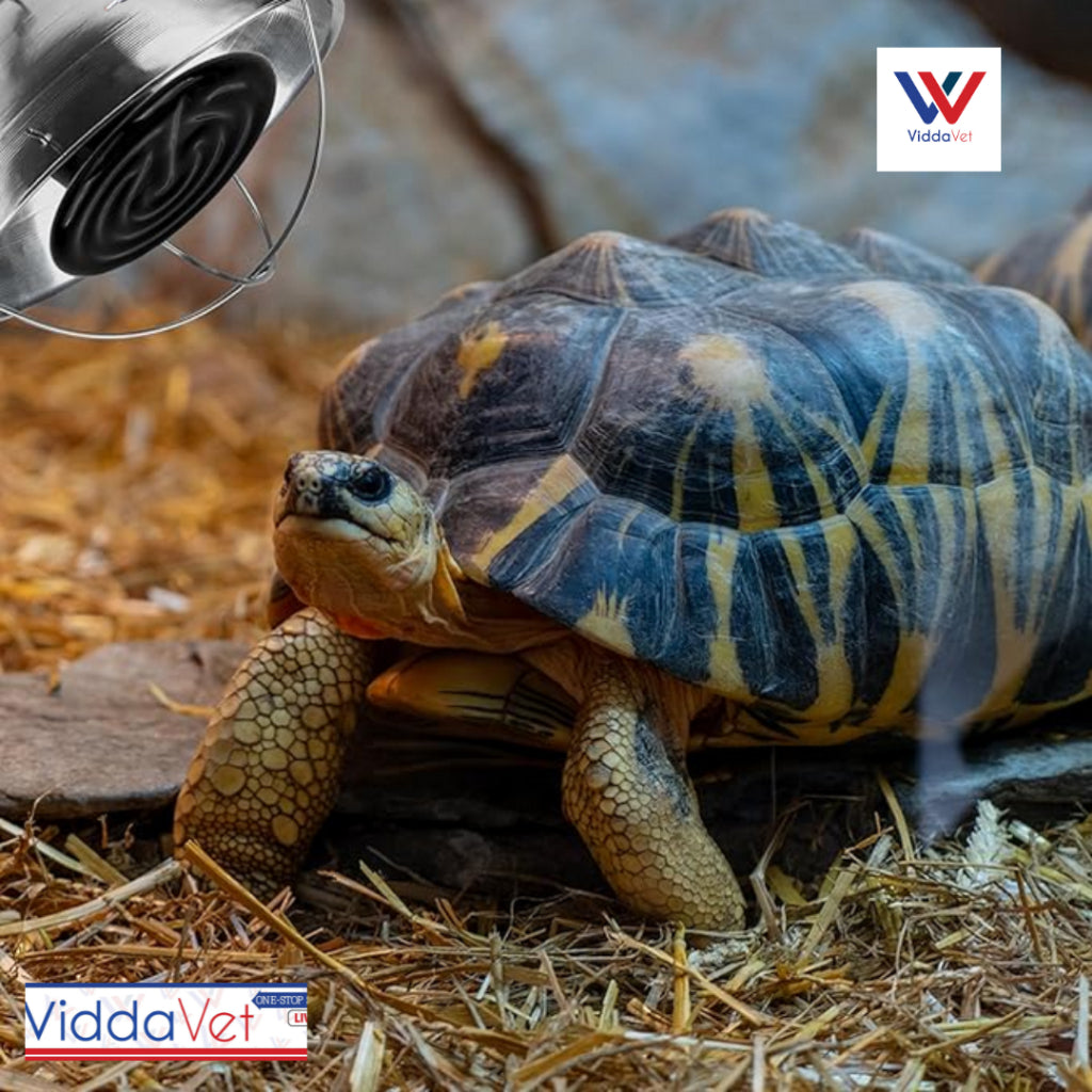 Ceramic Heat Bulb 9cm 100w