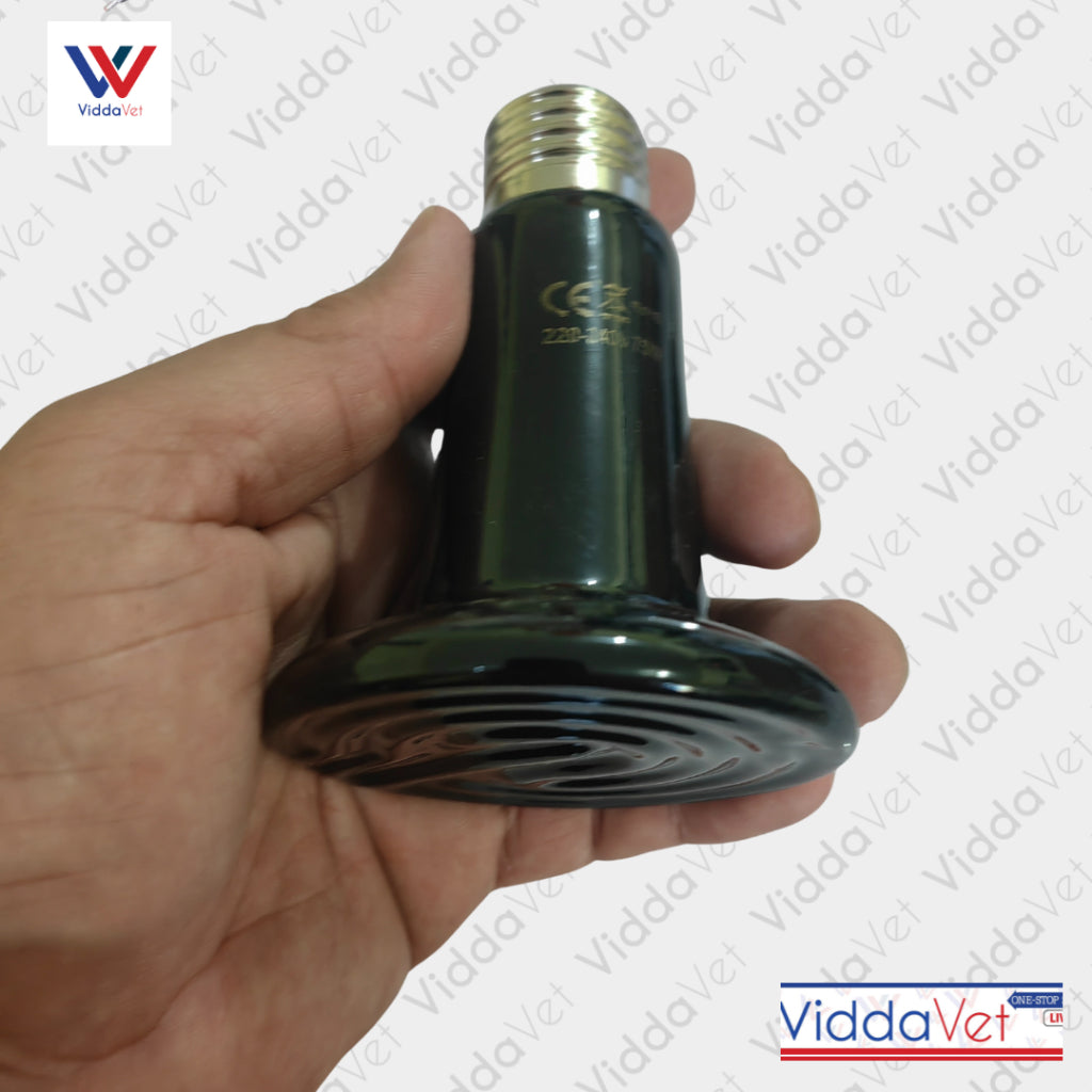 Ceramic Heat Bulb 9cm 100w