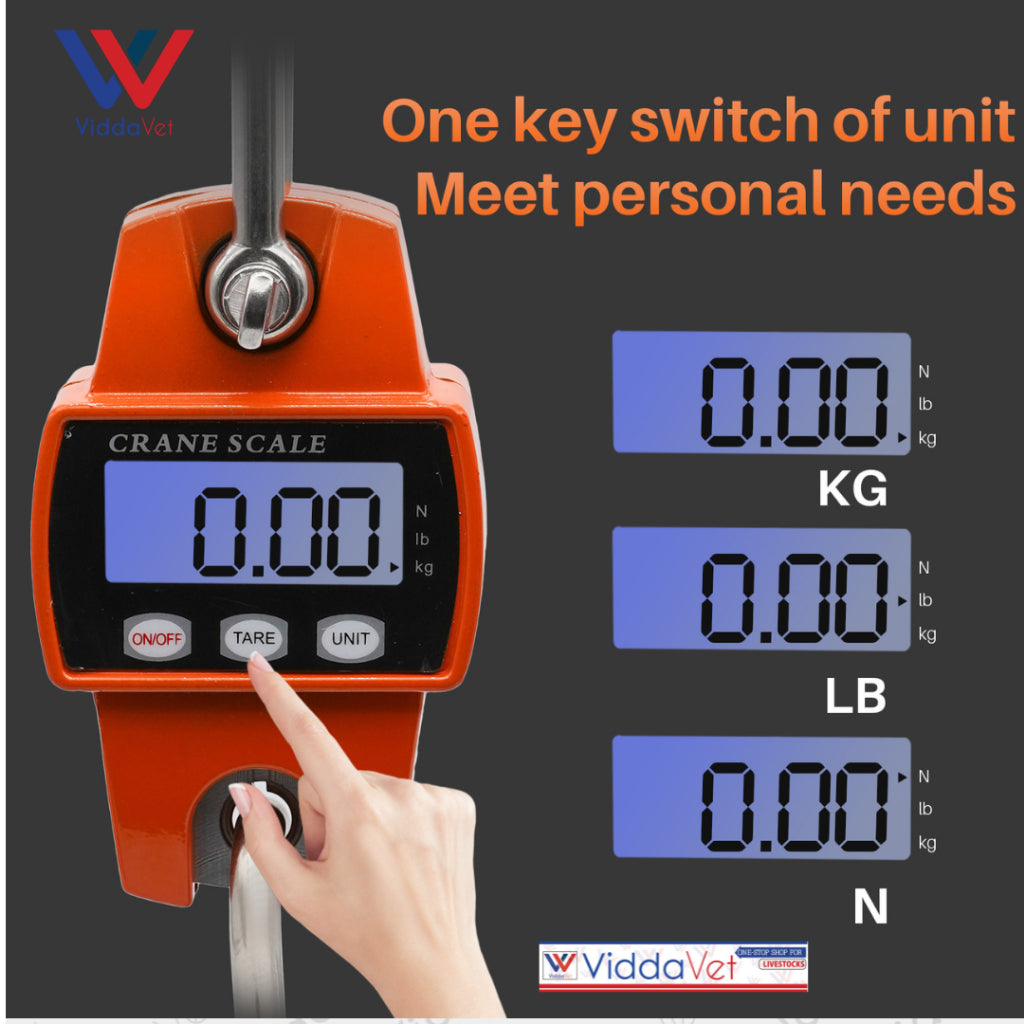 Crane Digital Scale 300kg