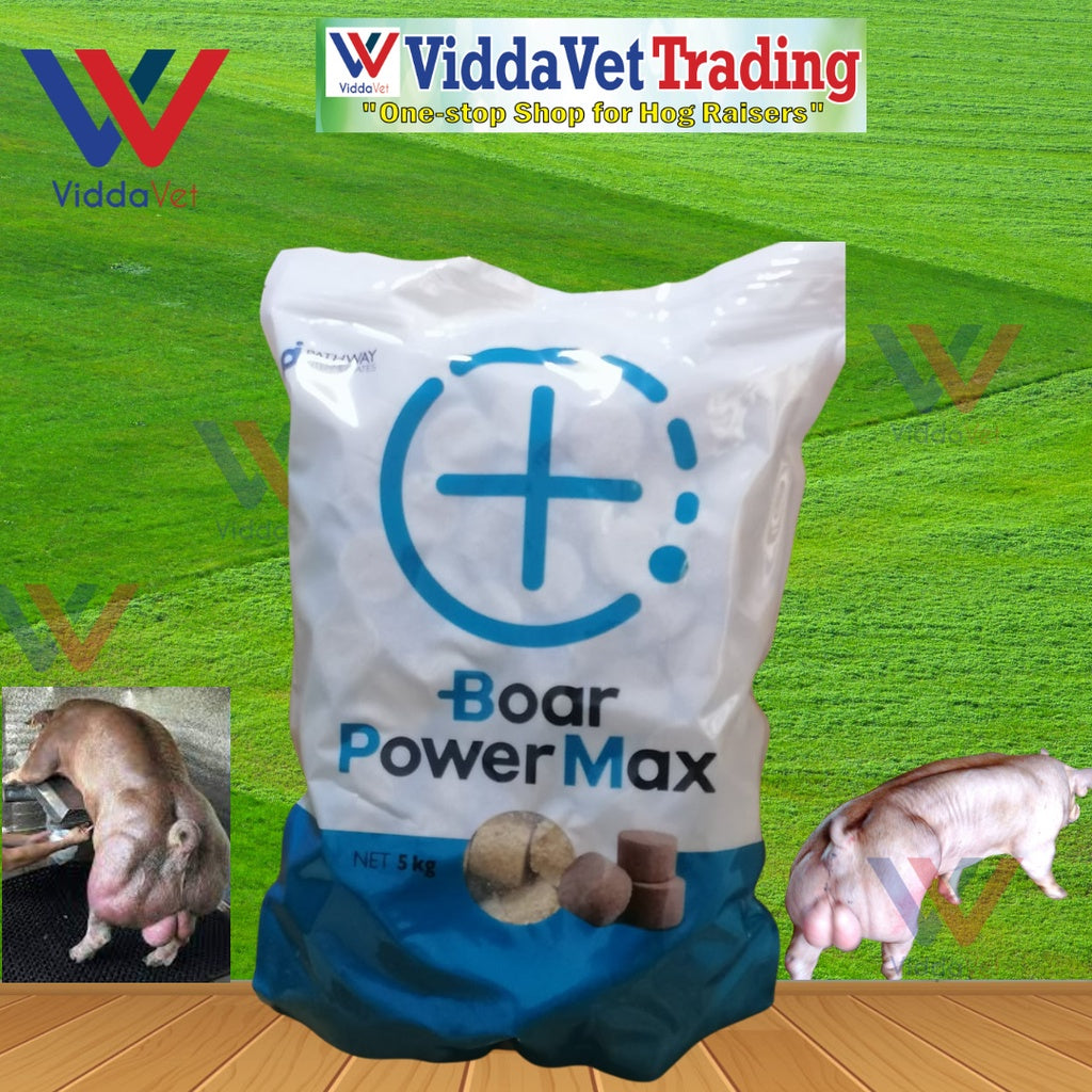 Boar Power Max 5KG