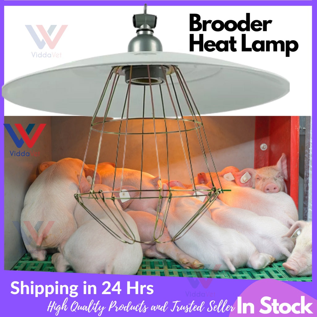 Brooder Metal Heat Lamp Shade with Bulb