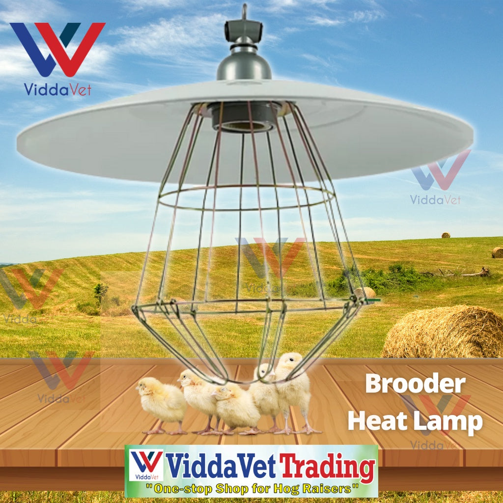 Brooder Metal Heat Lamp Shade with Bulb