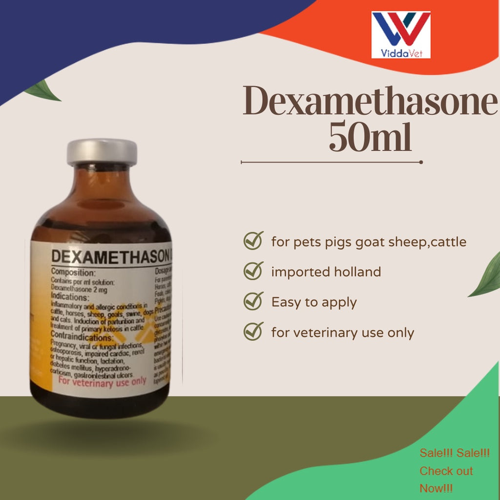 Dexamethason 50ml
