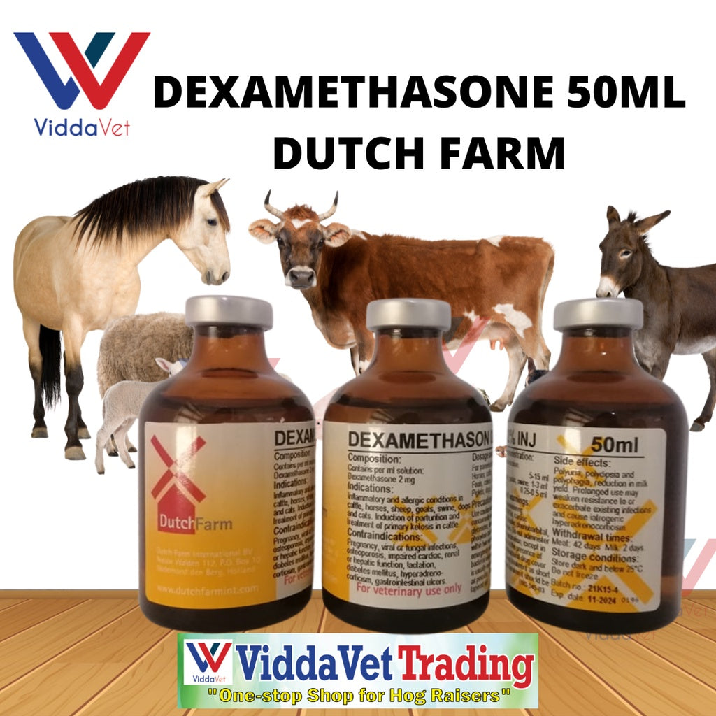 Dexamethason 50ml