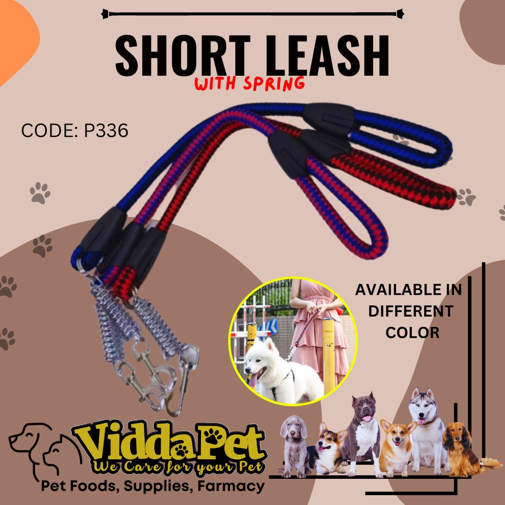 Dog Spring Short Leash