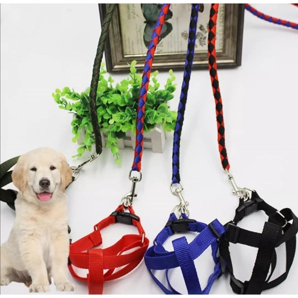 Pet Body Leash in Dark Colors