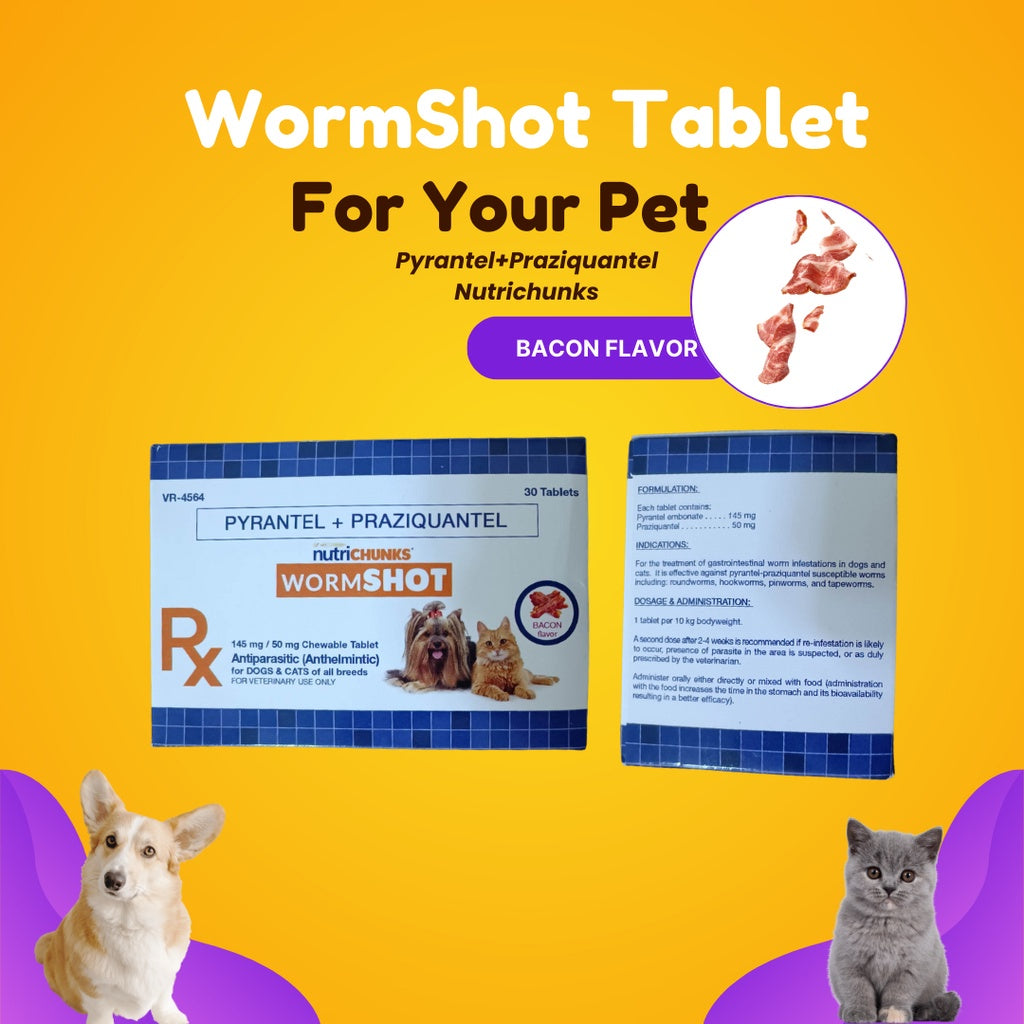 Wormshot Dewormer 1 Tablet with Nutrichunks Bacon Flavor for Dogs