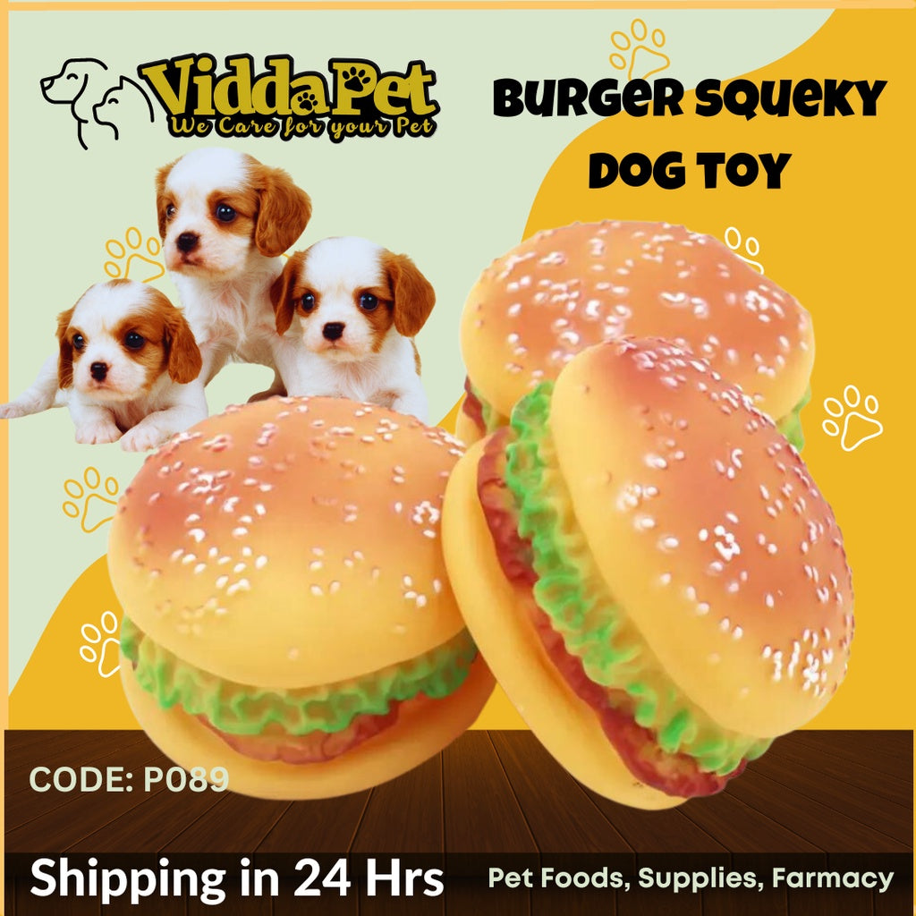 Burger Squeaky Toy