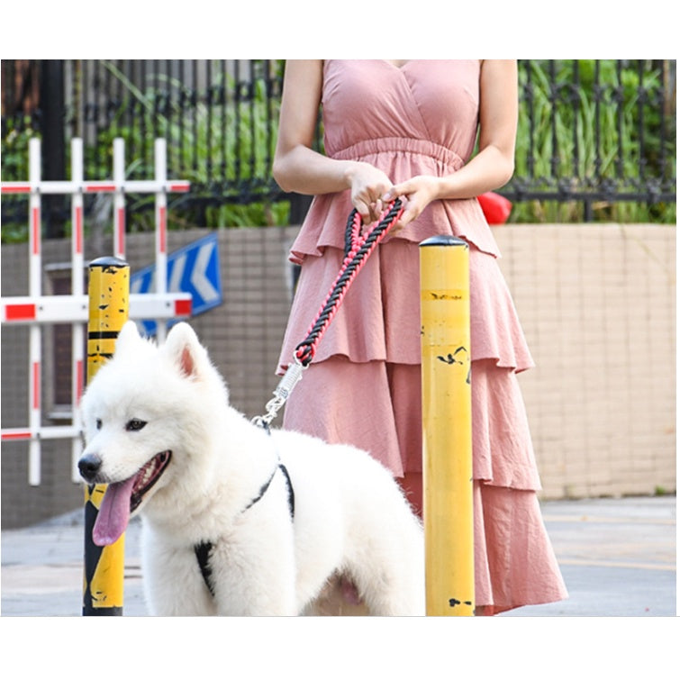 Dog Spring Short Leash