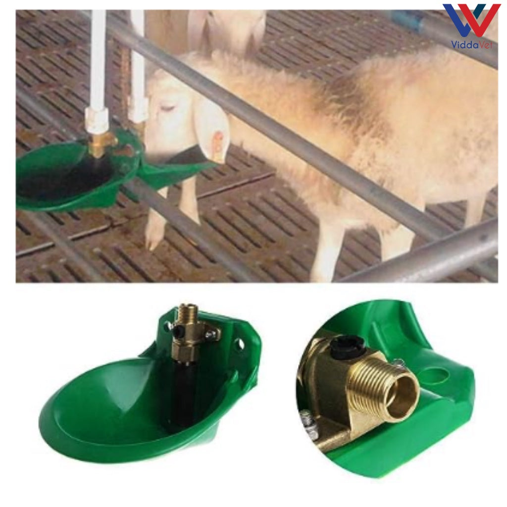 Automatic Water Bowl Drinker Goats