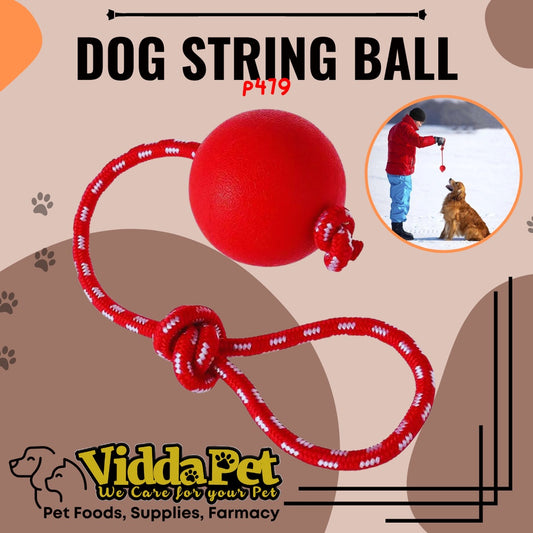 Red Round Dog String Rubber Ball With Rope