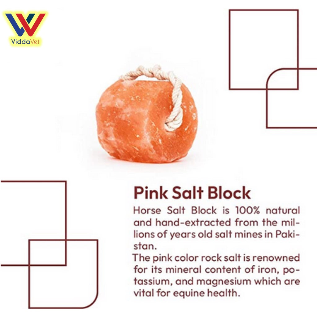 Natural Himalayan Salt Lick 4pcs