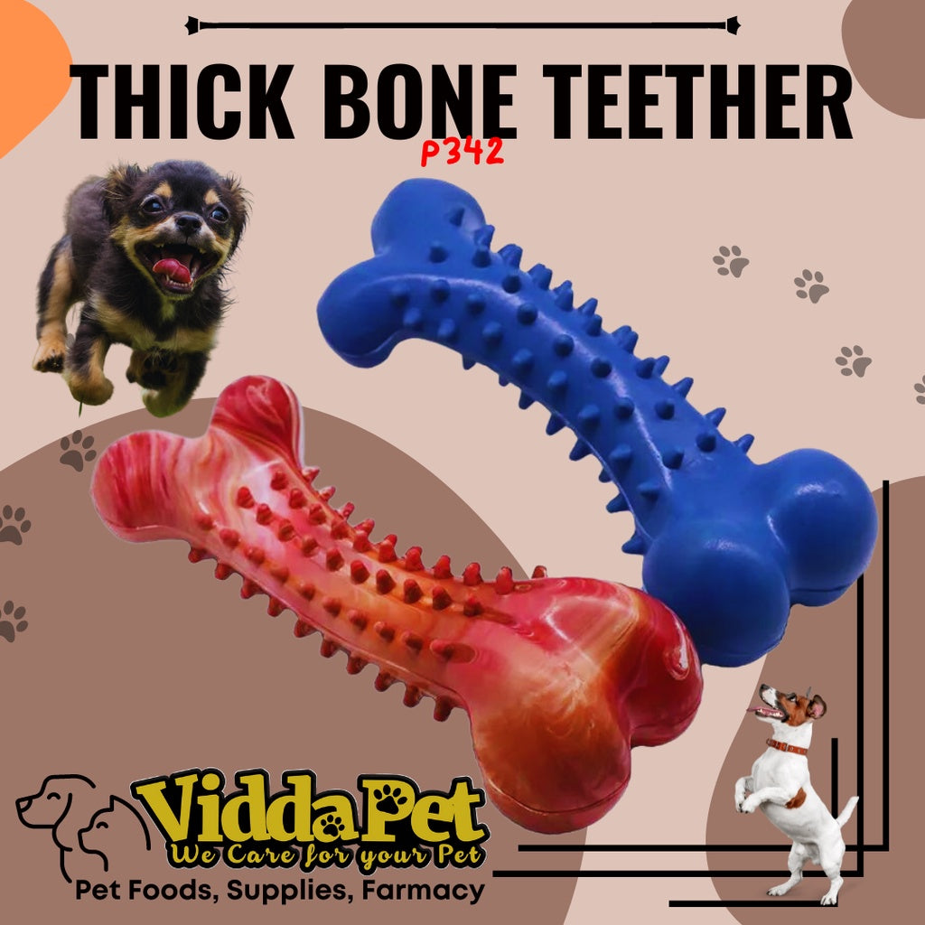 Rubber Dog Toy with Thorn Bone Teether