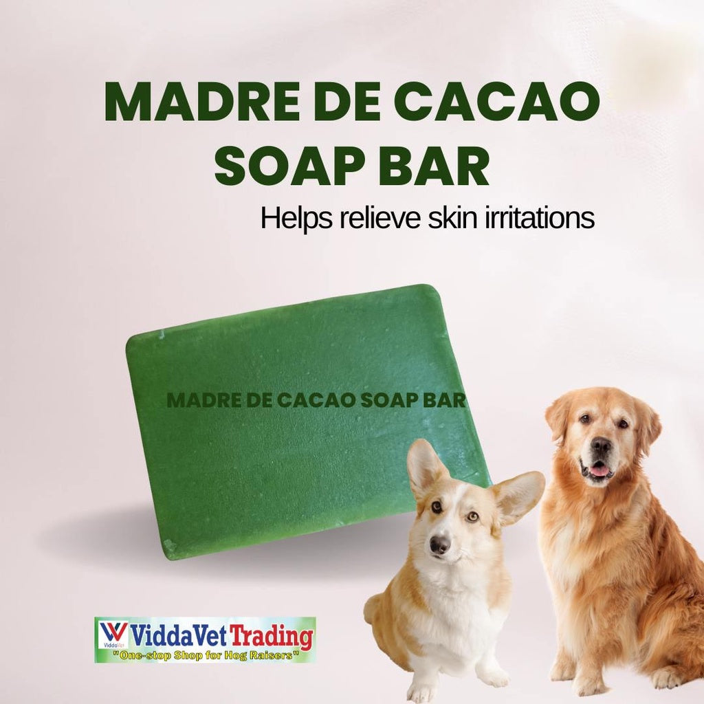 Madre De Cacao Soap
