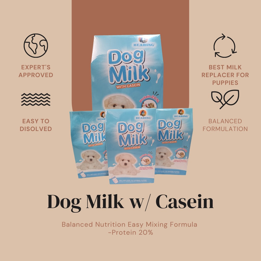Bearing Dog Milk 300g