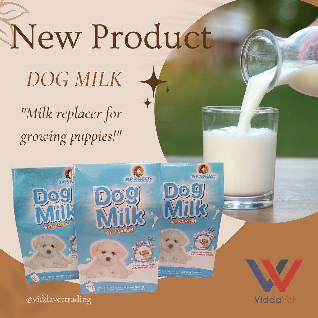 Bearing Dog Milk 300g