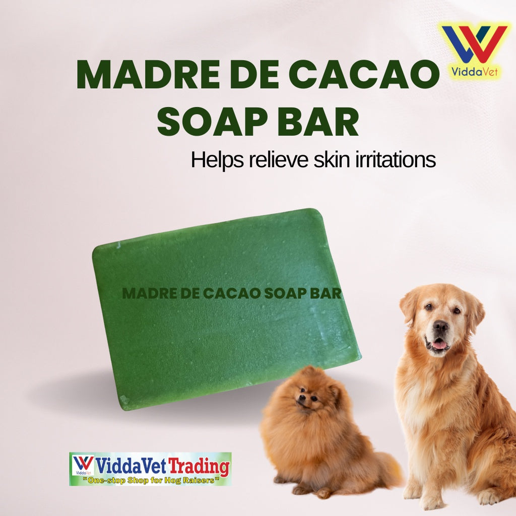 Madre De Cacao Soap