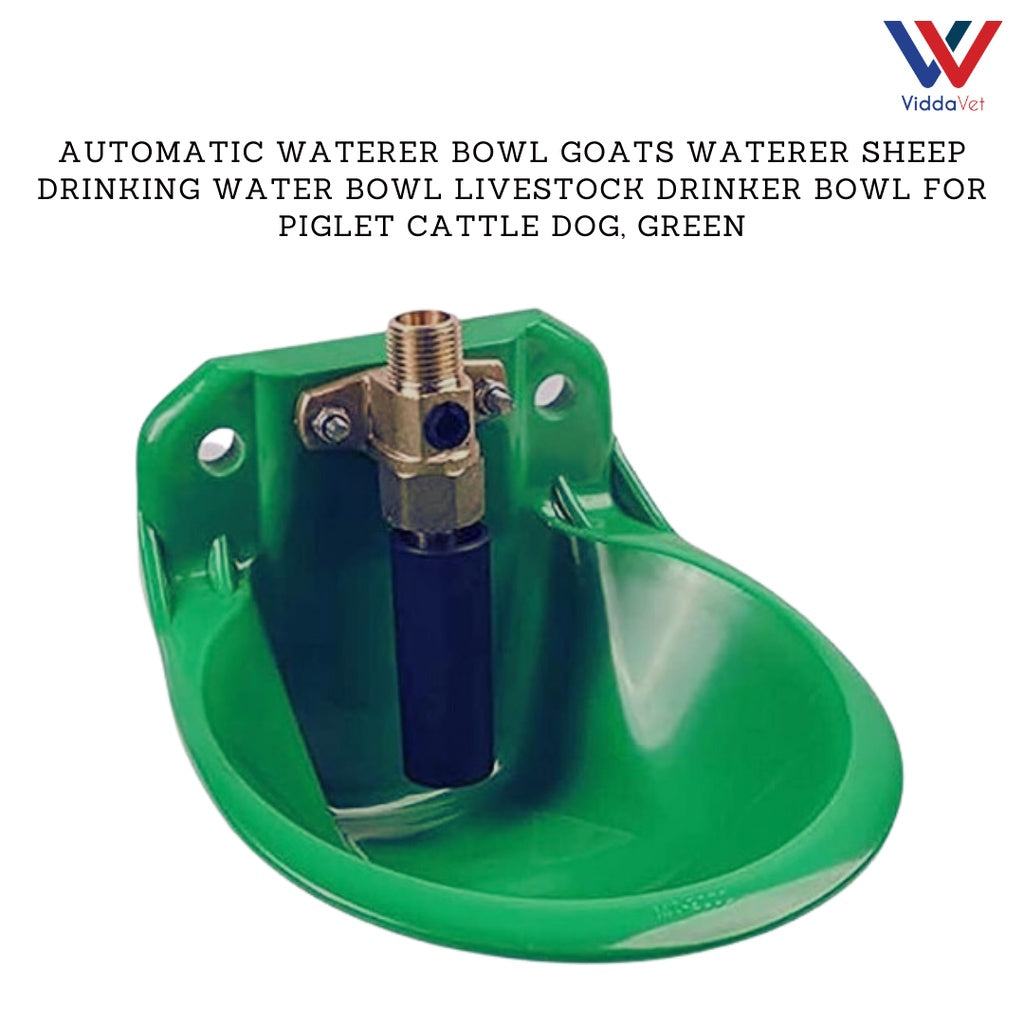Automatic Water Bowl Drinker Goats