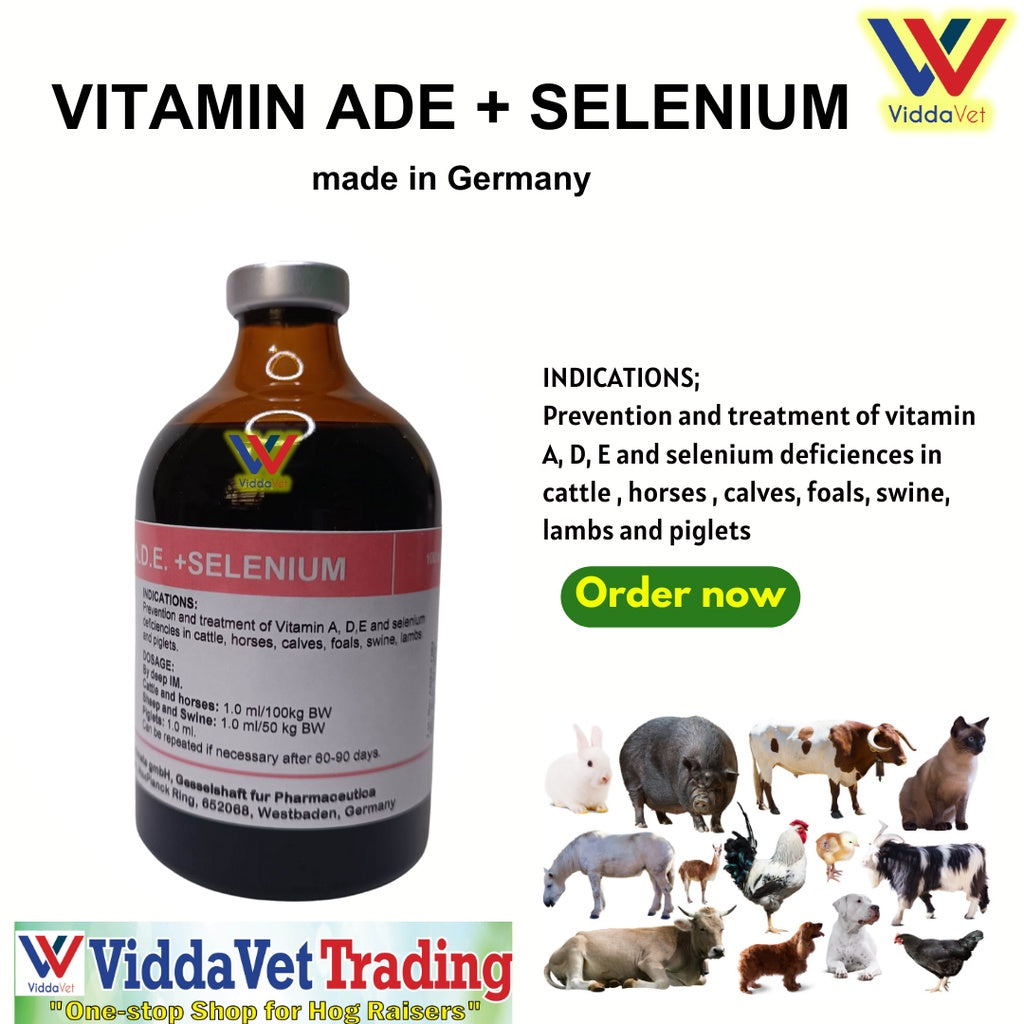 1 bottle Vit ADE + Selenium 100ml injectable from Germany for animals pig , calves