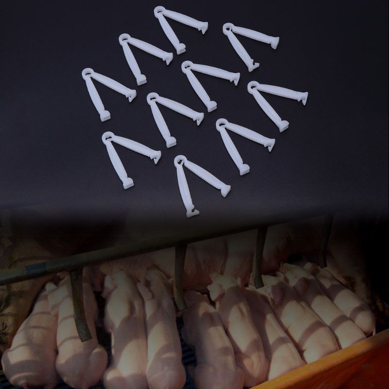 Umbilical Clamps 10pcs