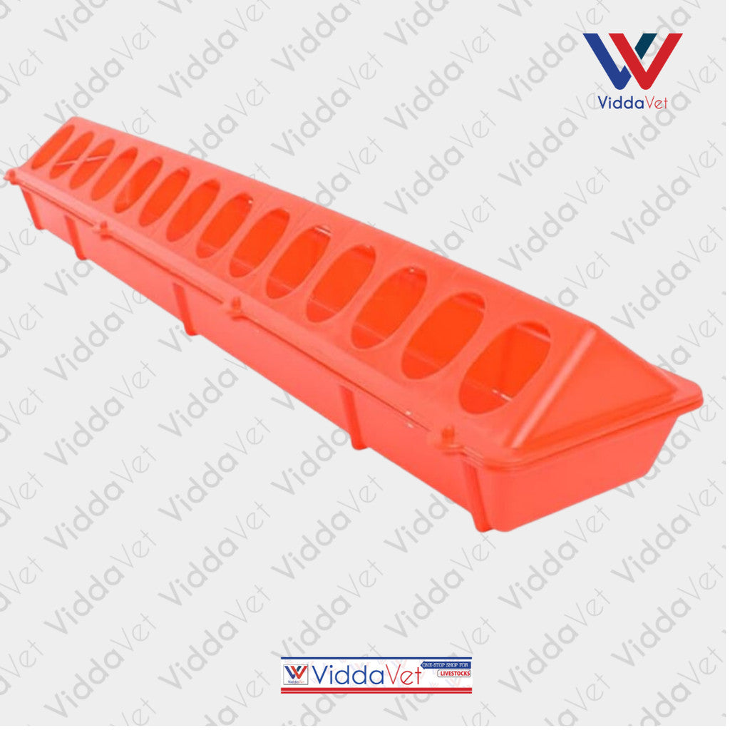 Poultry Ground Feeder Chicken