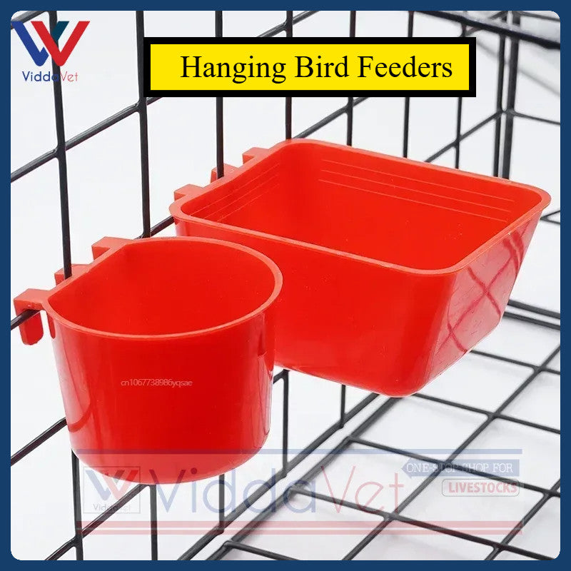 Plastic Drinking Bowl and Bird Feeder