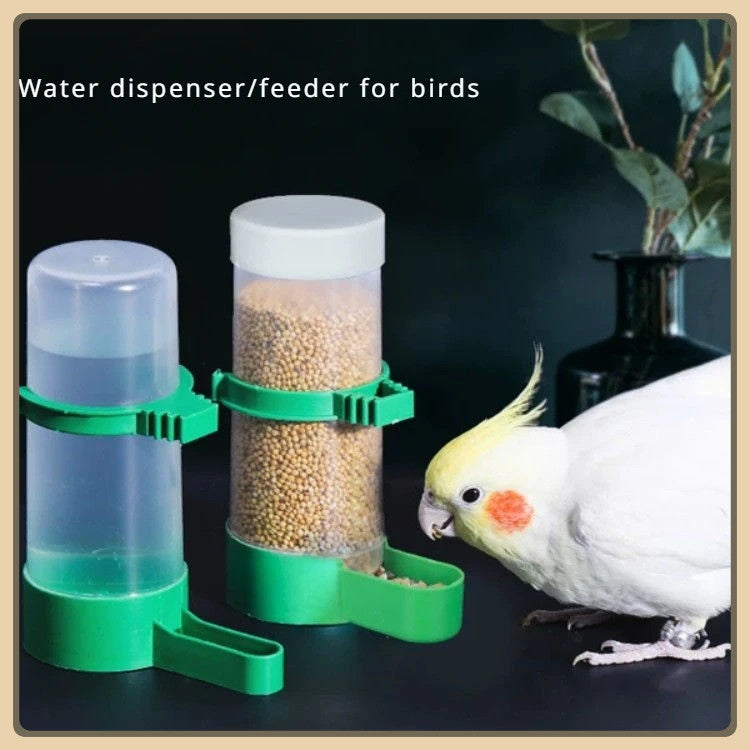 Hanging Waterer and Bird Feeder