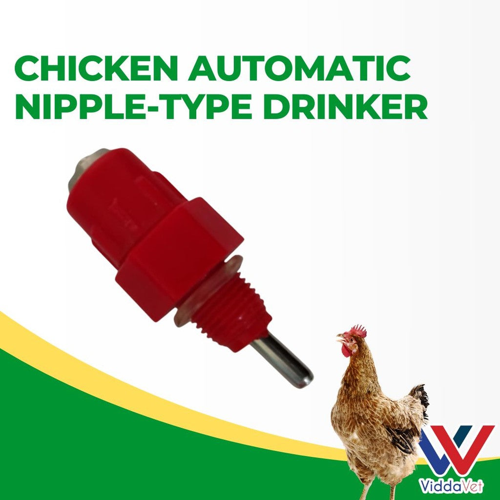 Chicken Nipple Drinker