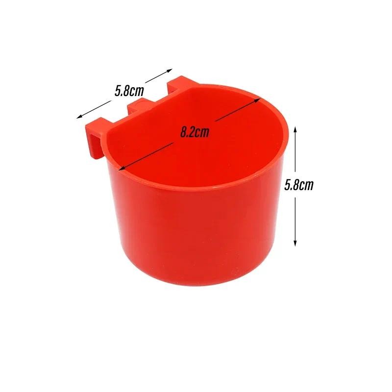 Plastic Drinking Bowl and Bird Feeder
