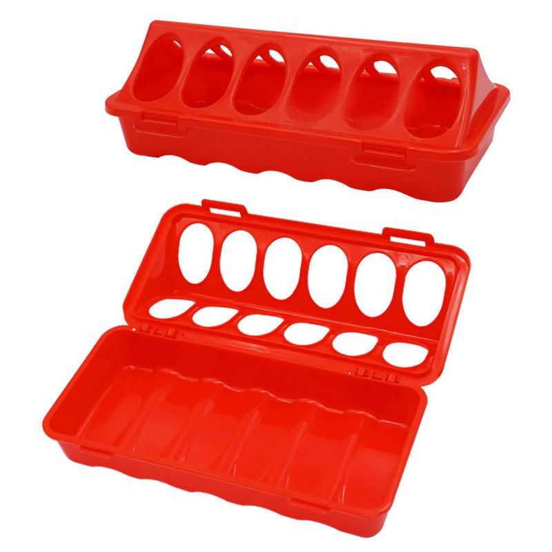 Poultry Ground Feeder Chicken