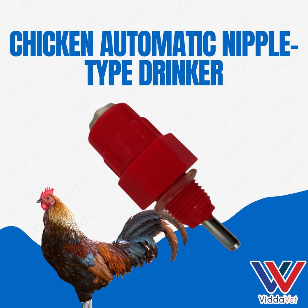 Chicken Nipple Drinker