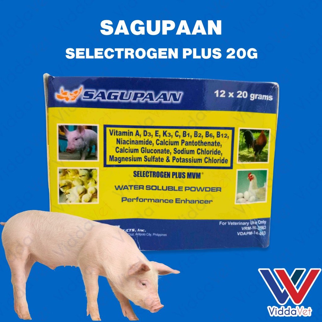 Sagupaan Selectrogen Plus 20g 1 Box