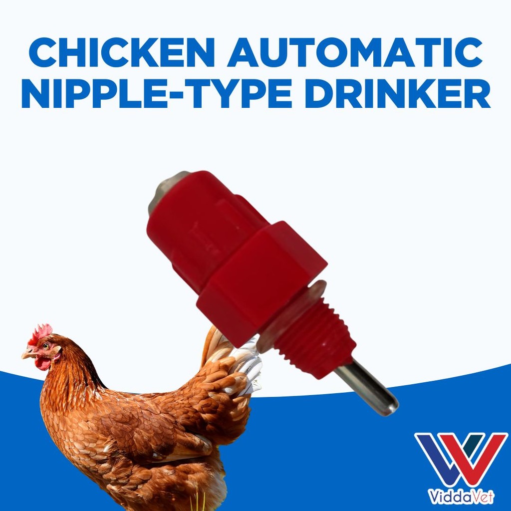 Chicken Nipple Drinker