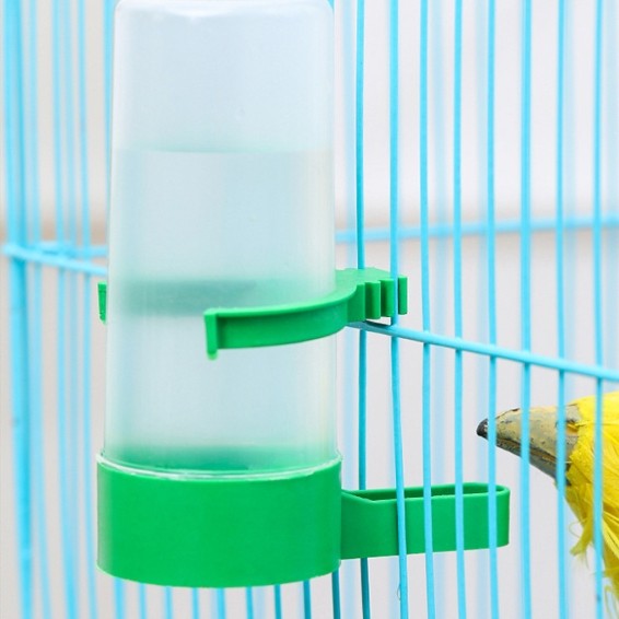 Hanging Waterer and Bird Feeder